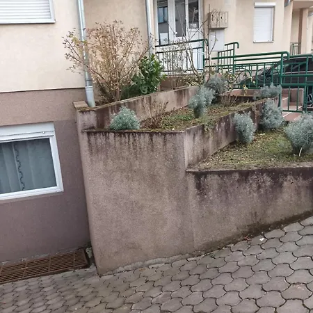 Jelena Lux Vrnjacka Banja