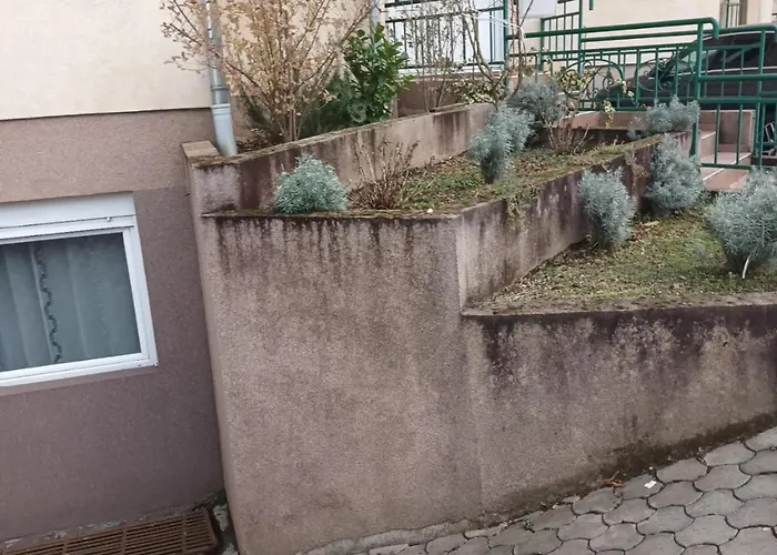 Jelena Lux Vrnjačka Banja